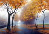 Alexi Butirskiy Autumn Leaves