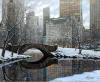 Alexi Butirskiy Central Park