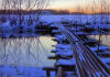 Alexi Butirskiy Old Log Bridge