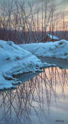 Alexi Butirskiy Winter Reflections