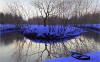 Alexi Butirskiy Winter's Calm