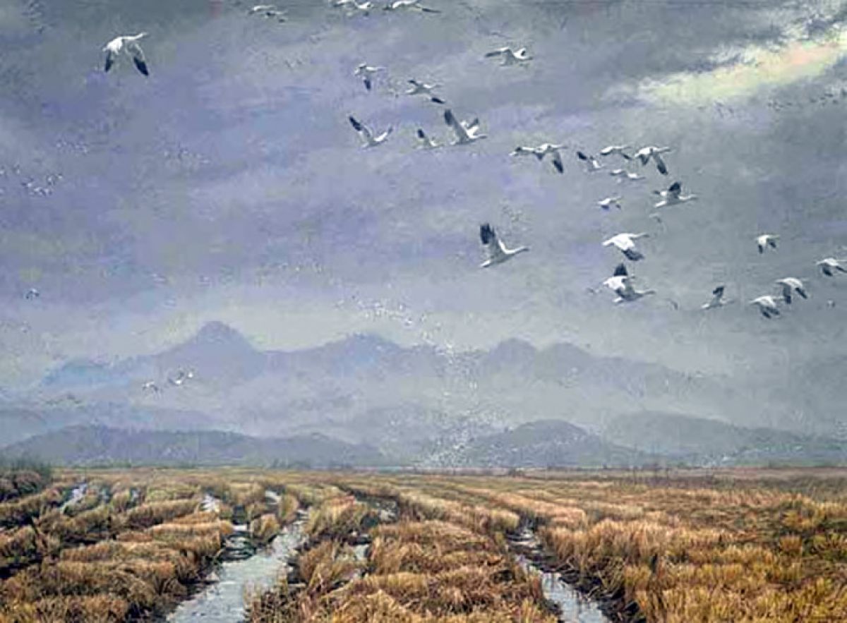 Robert Bateman - Across the Sky - Geese - Limited Edition Lithograph