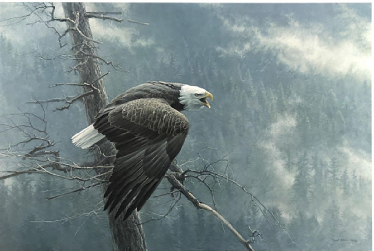 Robert Bateman - Air Forest Watch - Limited Edition Lithograph