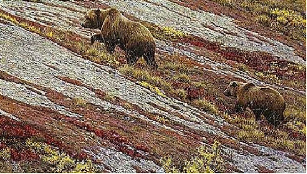 Robert Bateman - Alaskan Autumn - Bear - Limited Edition Lithograph