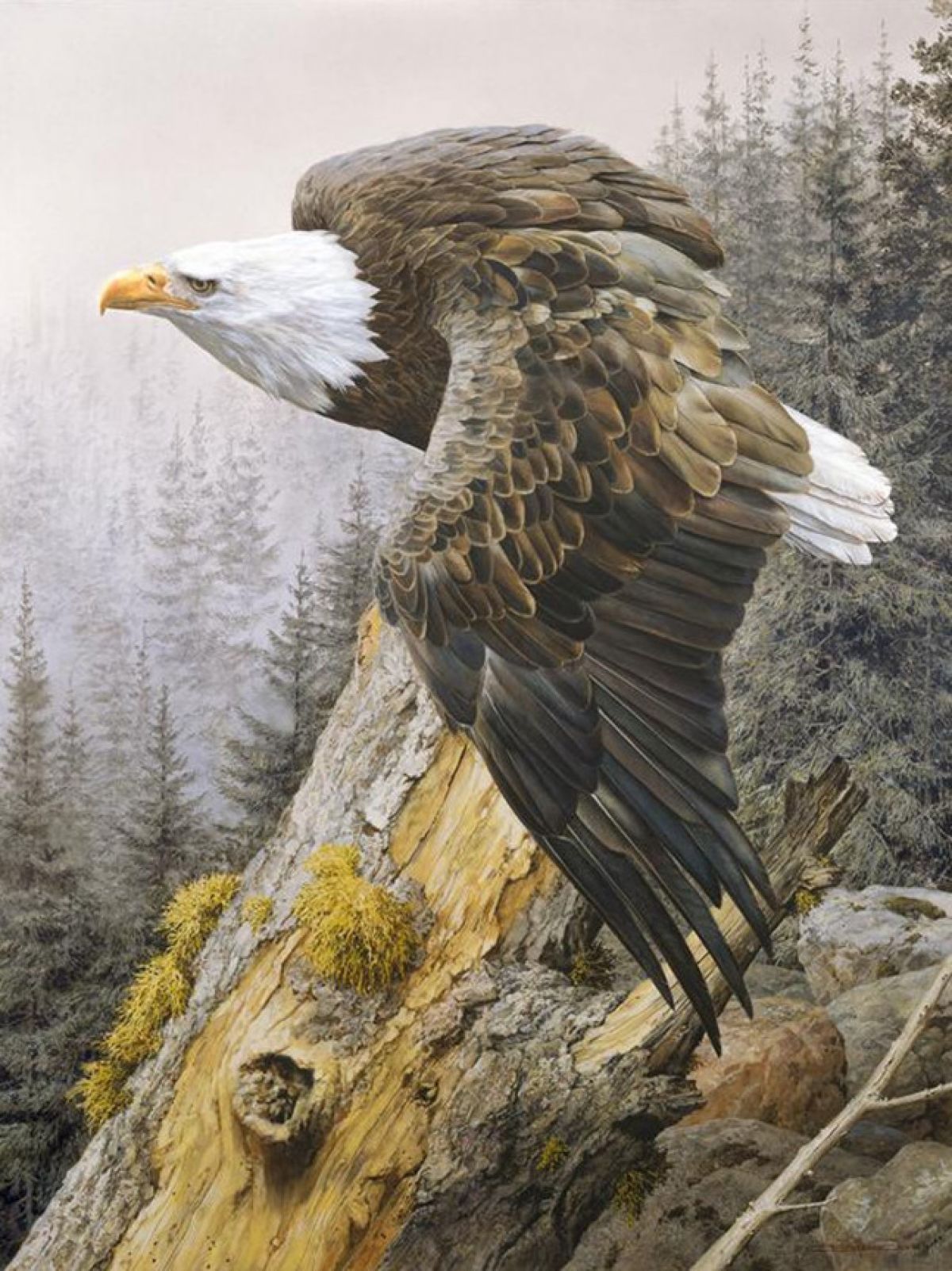 Carl Brenders - America on the Rise – Bald Eagle - Limited Edition Giclee on Canvas