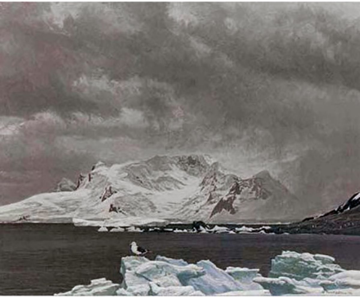 Robert Bateman - Antarctic Elements - Limited Edition Lithograph