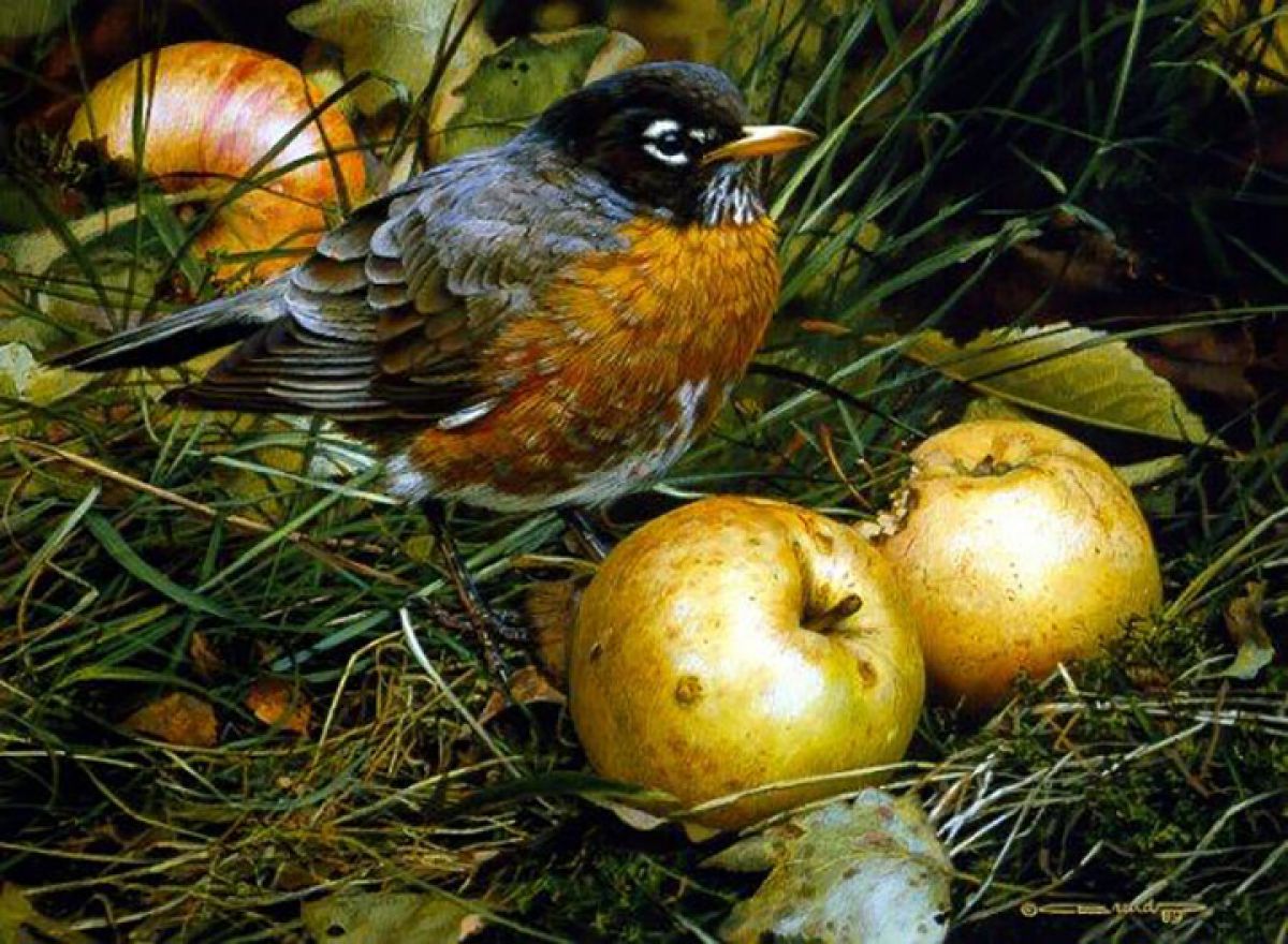 Carl Brenders - Apple Lover – Chipmunk - Limited Edition Lithograph