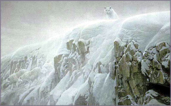 Robert Bateman - Arctic Cliff - White Wolves - Limited Edition Giclee on Canvas