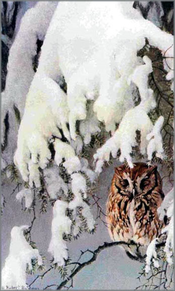 Robert Bateman - Asleep in the Hemlocks - Screech Owl - Limited Edition Lithograph