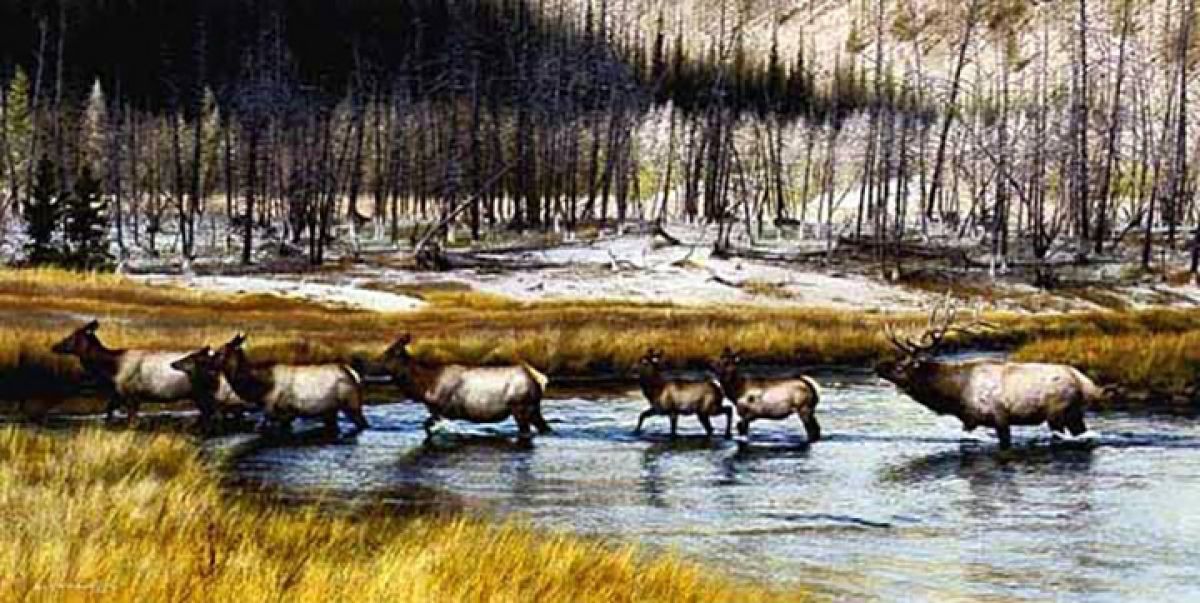 Carl Brenders - Autumn Procession – Elk - Limited Edition Lithograph