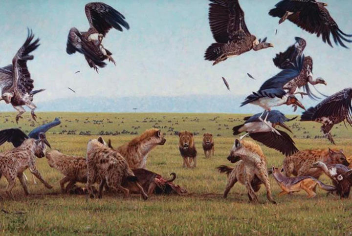 John Banovich - Game of Lions - Limited Edition Giclee on Canvas