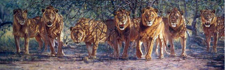 John Banovich - The Offensive Line - Limited Edition Giclee on Canvas