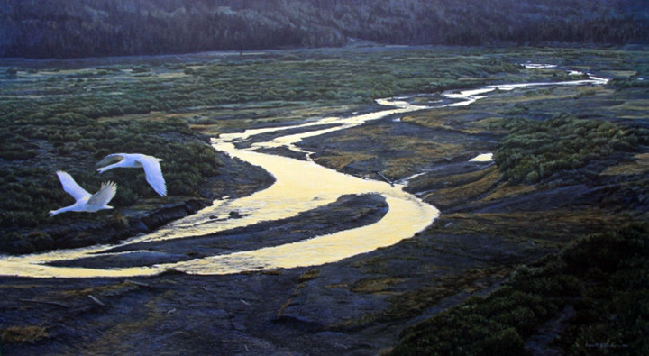 Robert Bateman - Above the River Trumpeter Swans - Limited Edition Lithograph