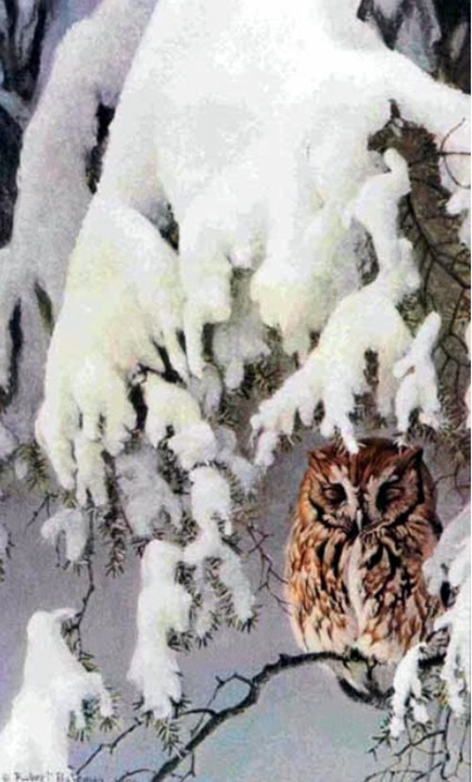 Robert Bateman - Asleep in the Hemlocks - Screech Owl - Limited Edition Lithograph