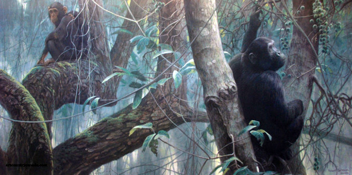 Robert Bateman - At Mahale - Chimpanzees - Limited Edition Lithograph