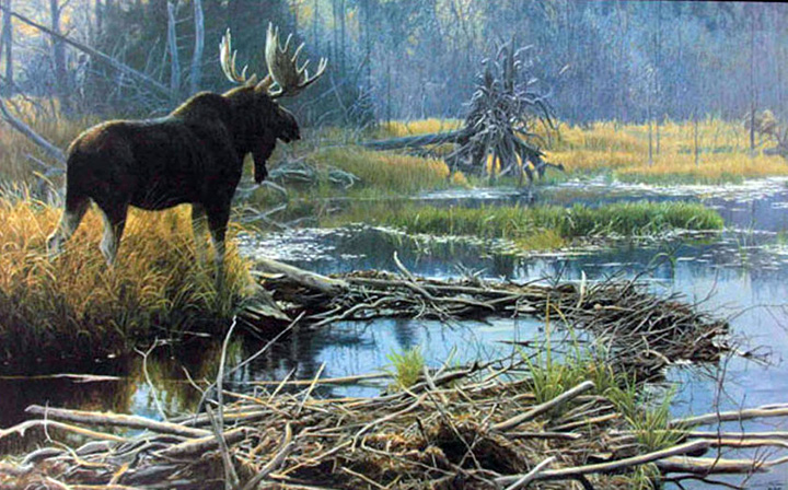 Robert Bateman - Autumn Overture Moose - Limited Edition Lithograph