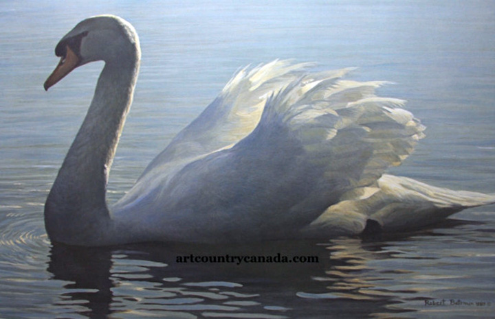 Robert Bateman - Backlight - Mute Swan - Limited Edition Lithograph