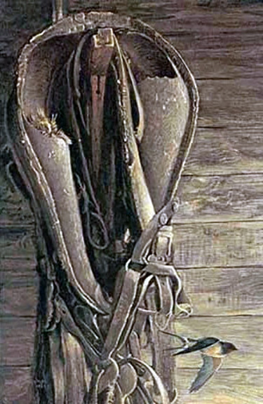Robert Bateman - Barn Swallow and Collar - Limited Edition Lithograph