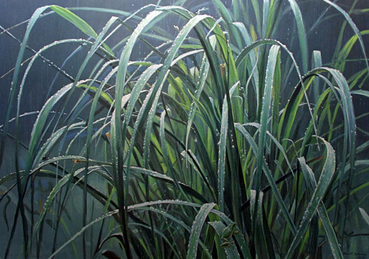 Robert Bateman - Beach Grass and Tree Frog - Limited Edition Lithograph