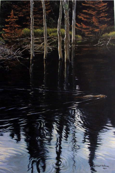 Robert Bateman - Beaver Pond Reflections - Limited Edition Lithograph