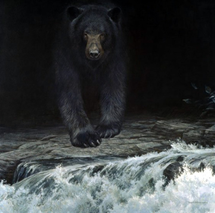 Robert Bateman - Big Black Bear - Limited Edition Lithograph
