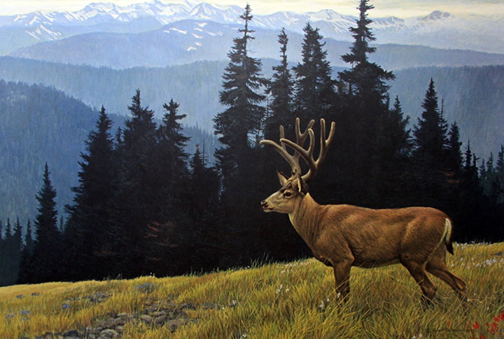 Robert Bateman - Black-Tailed Deer in the Olympics - Limited Edition Lithograph