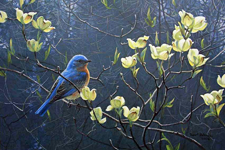 Robert Bateman - Bluebird and Blossoms - Limited Edition Lithograph