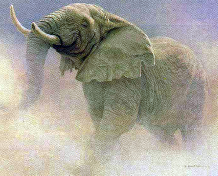 Robert Bateman - Bluffing Bull - African Elephant - Limited Edition Lithograph