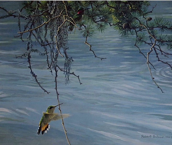Robert Bateman - Broad-Tailed Hummingbird Pair - Limited Edition Lithograph