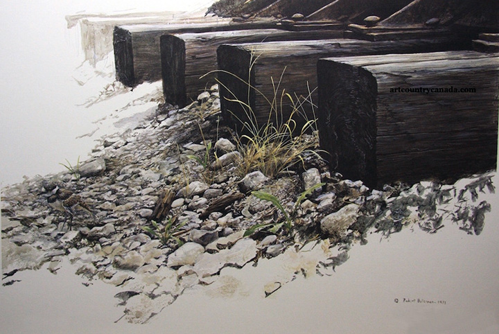 Robert Bateman - By the Tracks - Killdeer - Limited Edition Lithograph