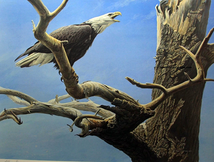 Robert Bateman - Call of the Wild - Eagle - Limited Edition Lithograph