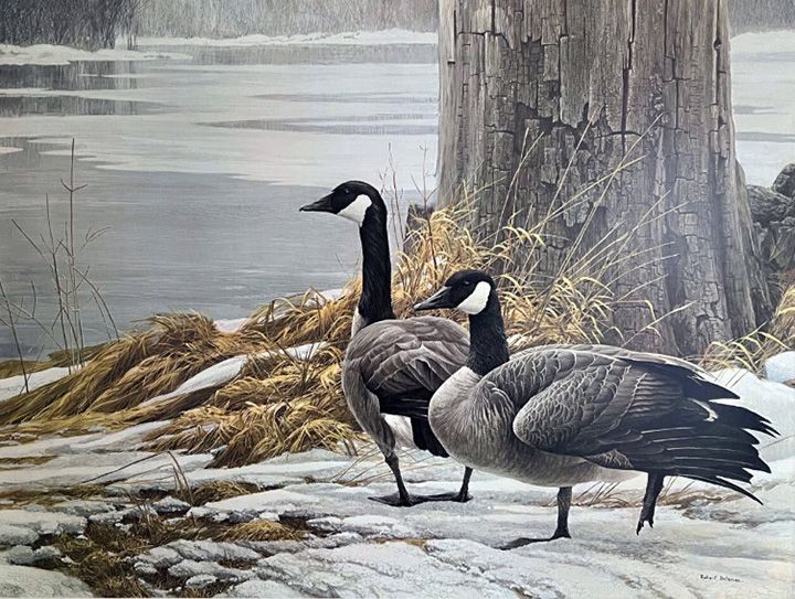 Robert Bateman - Canada Geese - 1975 - Limited Edition Lithograph
