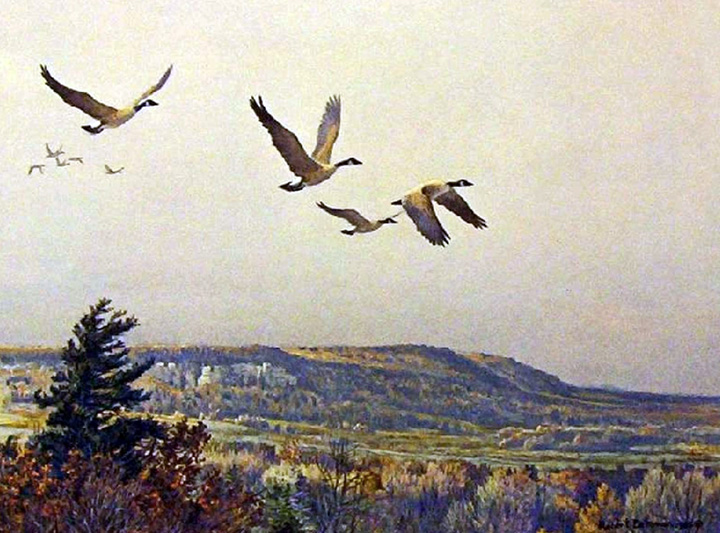 Robert Bateman - Canada Geese - On the Escarpment - Limited Edition Lithograph