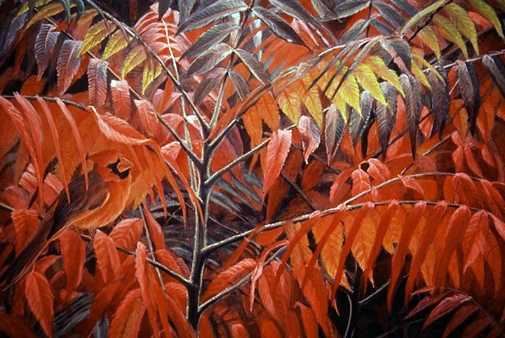 Robert Bateman - Cardinal and Sumac Global Edition - Limited Edition Lithograph