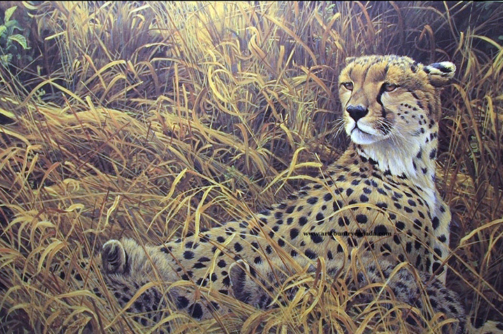 Robert Bateman - Cheetah with Cubs - Limited Edition Lithograph