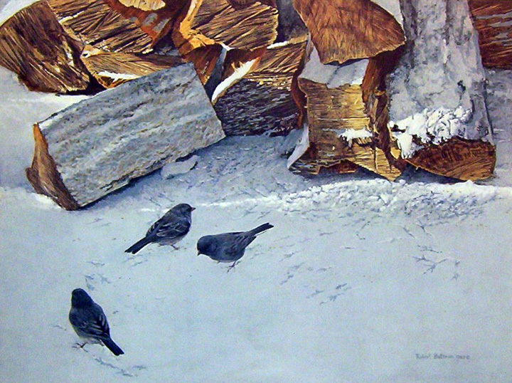Robert Bateman - Cherrywood and Juncos - Limited Edition Lithograph