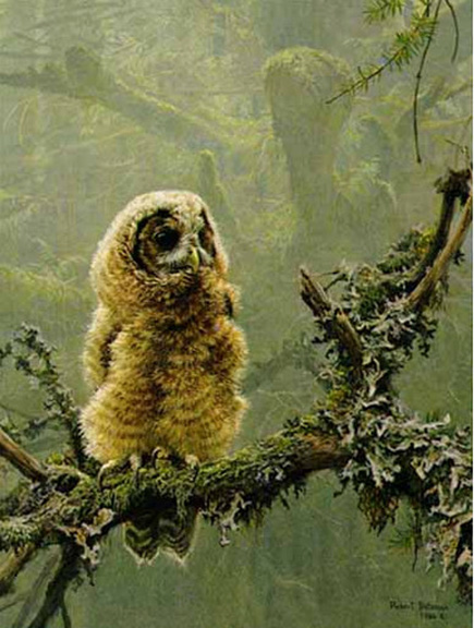 Robert Bateman - Continuing Generations and Spotted Owls - Limited Edition Lithograph