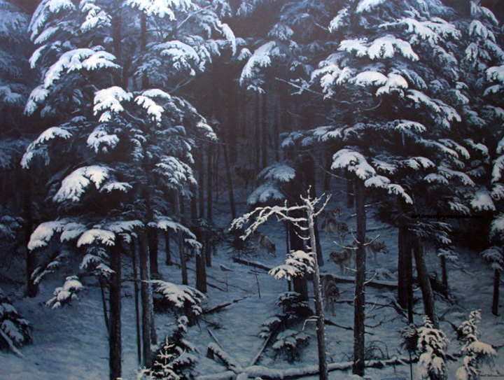 Robert Bateman - Descending Shadows - Limited Edition Lithograph