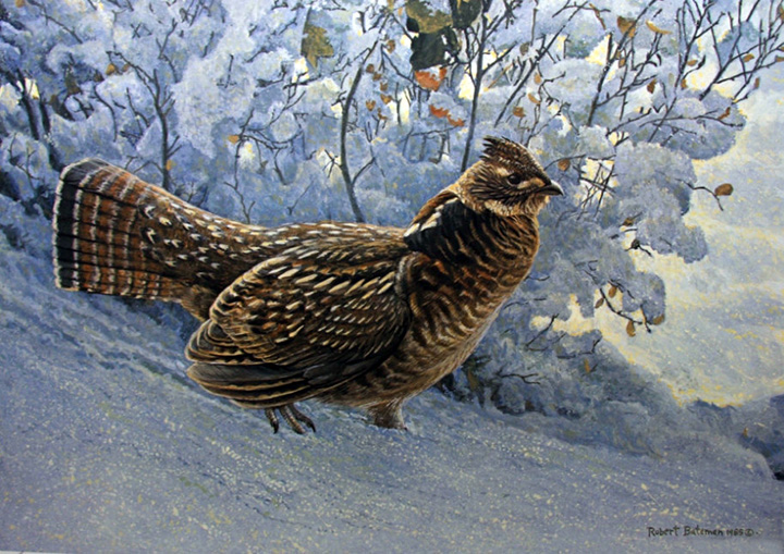 Robert Bateman - Early Snowfall Ruffed Grouse - Limited Edition Lithograph