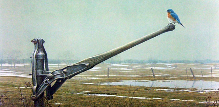 Robert Bateman - Early Spring - Bluebird - Limited Edition Lithograph