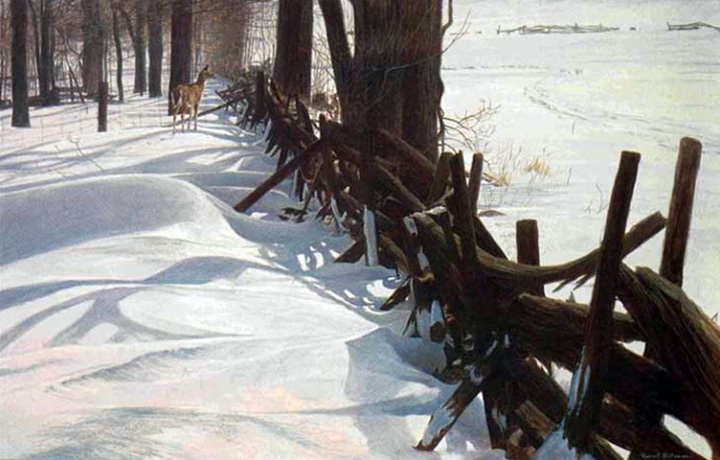 Robert Bateman - Edge of the Woods - White-Tailed Deer - Limited Edition Lithograph