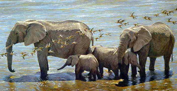 Robert Bateman - Elephant Herd and Sandgrouse - Limited Edition Lithograph