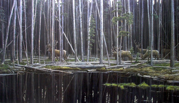 Robert Bateman - Elk at Yellowstone - Limited Edition Lithograph
