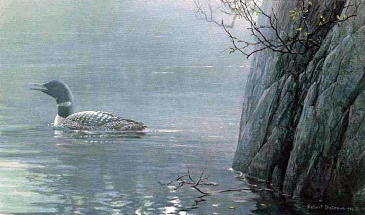 Robert Bateman - Evening Call - Common Loon - Limited Edition Lithograph