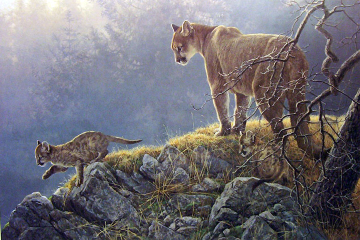 Robert Bateman - Excursion - Cougar and Kits - Limited Edition Lithograph