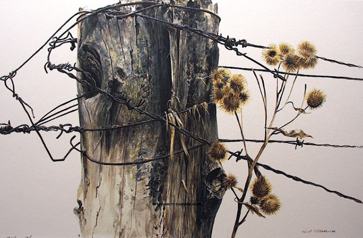 Robert Bateman - Fence Post and Burdock - Limited Edition Lithograph