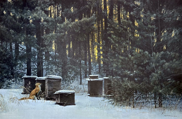 Robert Bateman - Fox and Beehives - Limited Edition Lithograph