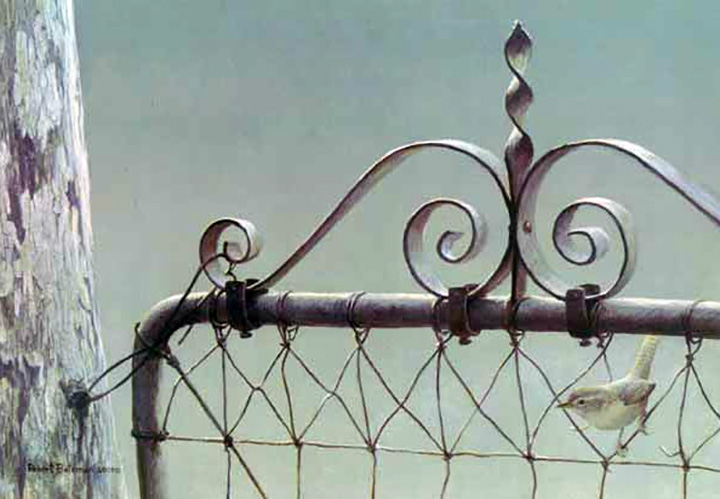 Robert Bateman - Gatekeeper - House Wren - Limited Edition Lithograph