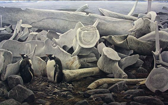 Robert Bateman - Gentoo Penguins and Whale Bones - Limited Edition Lithograph