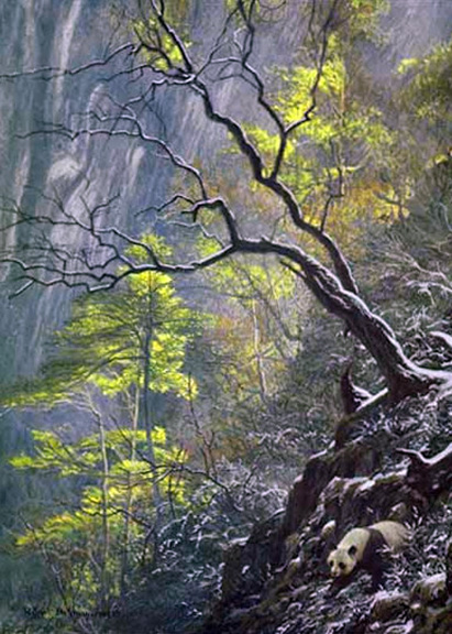 Robert Bateman - Giant Panda in the Wild - Limited Edition Lithograph
